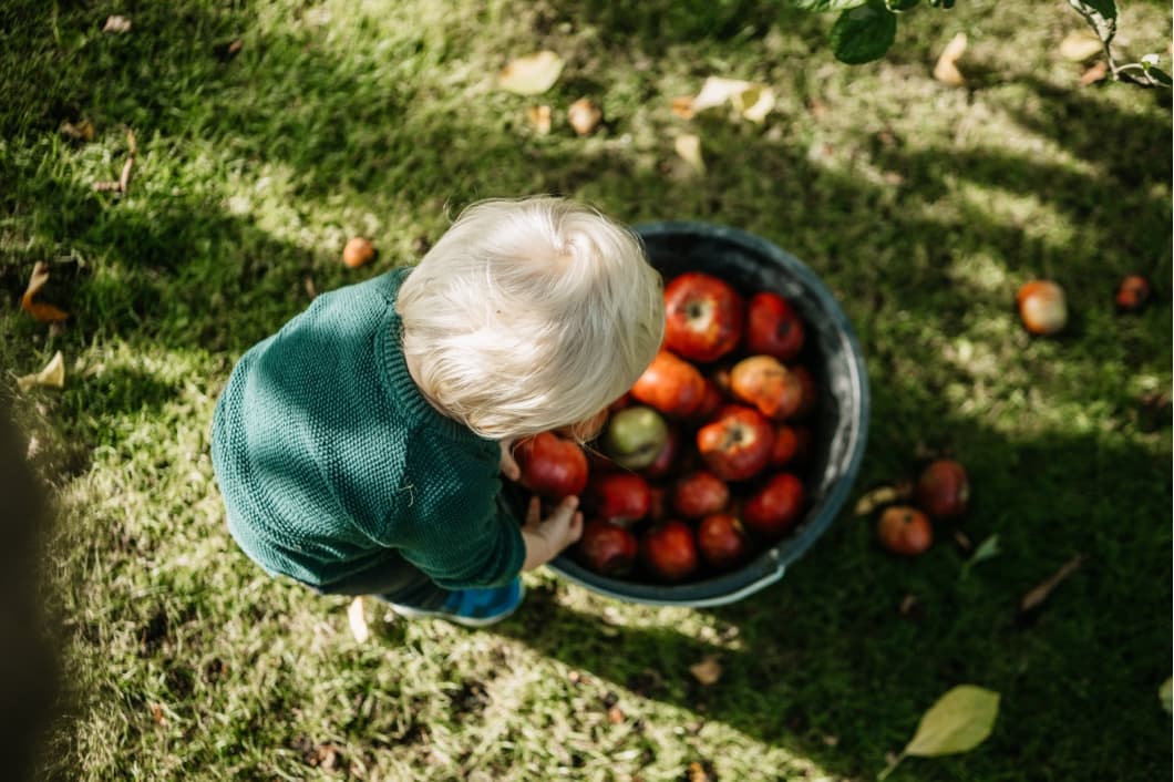Barn med æbler